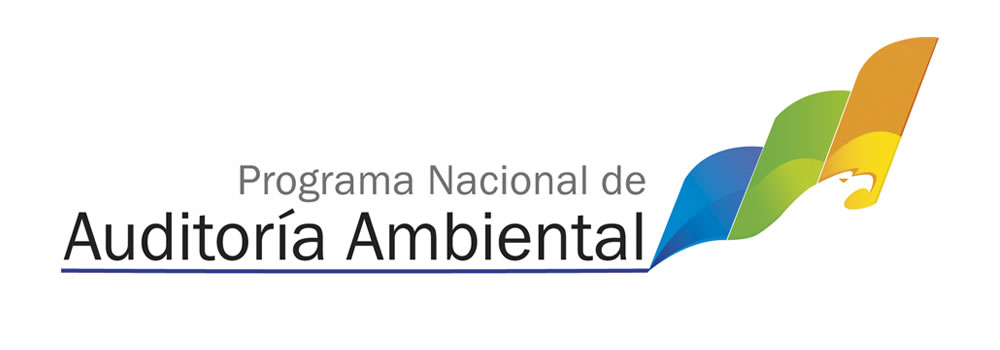 AUDITORIA AMBIENTAL