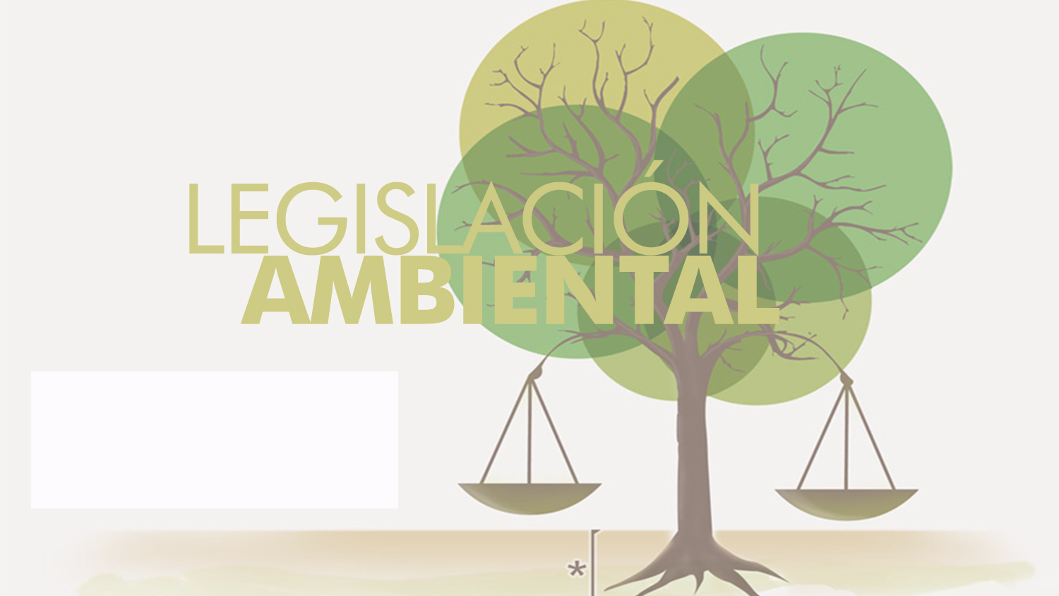 LEGISLACIÓN AMBIENTAL