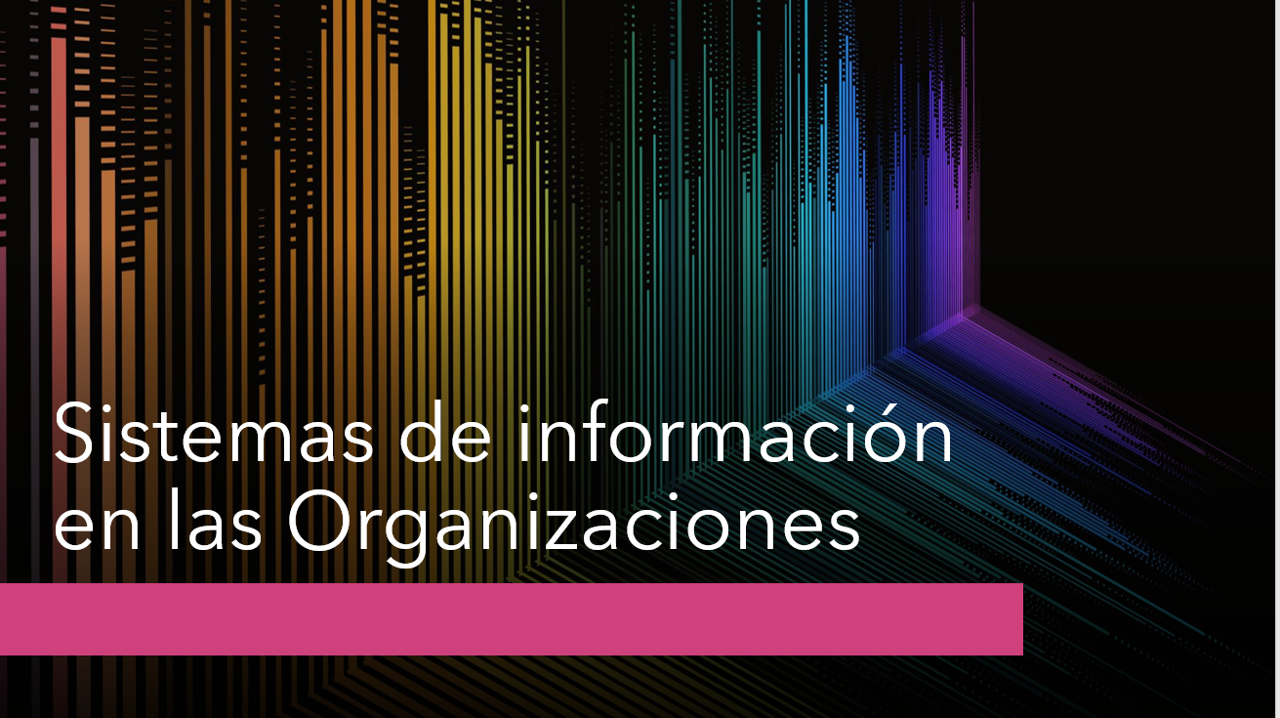 SISTEMAS DE INFORMACIÓN EN LAS ORGANIZACIONES