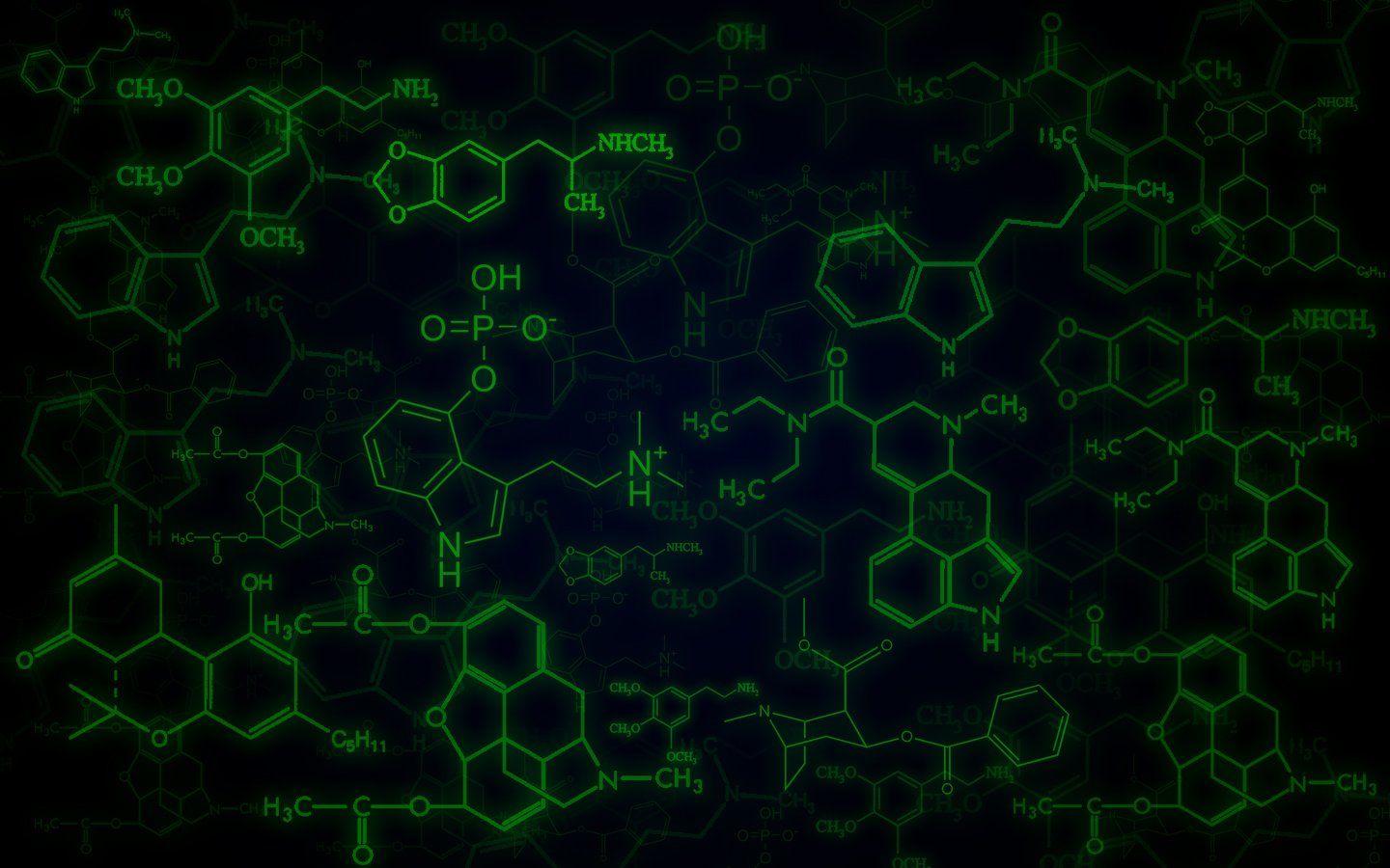 Bioquímica 5B