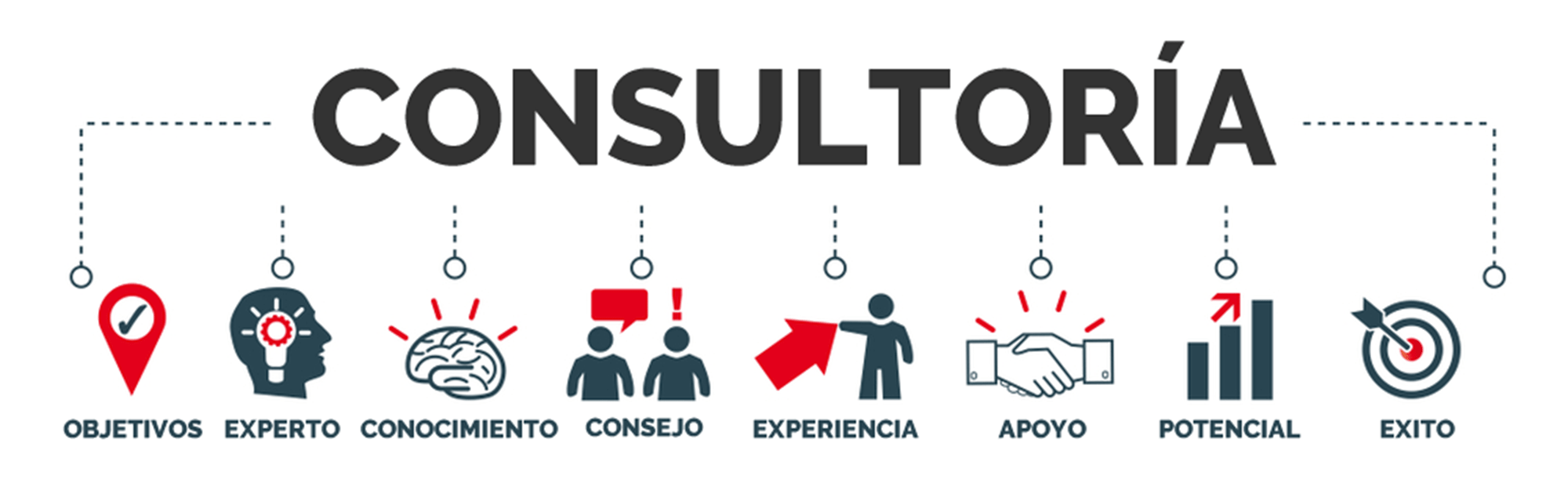 9 CONSULTORÍA