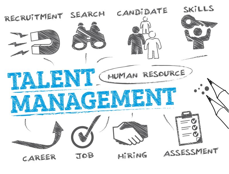 HUMAN TALENT MANAGEMENT